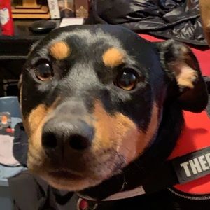 Meet your Posher, Aubrie